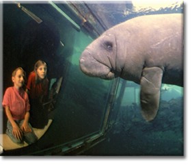 under water